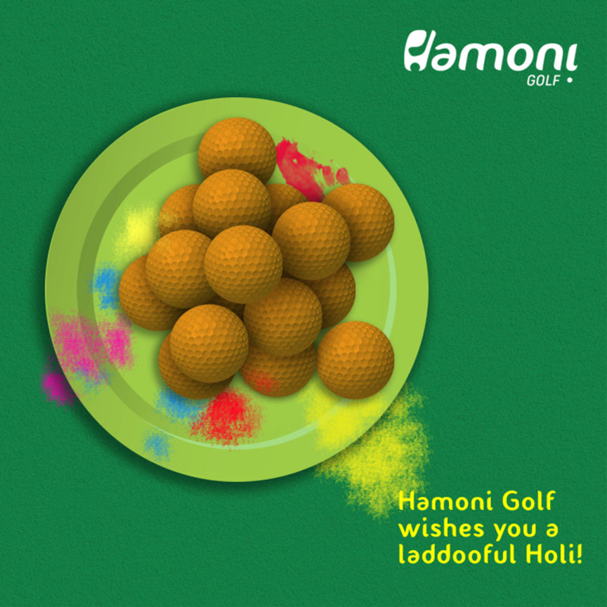 Hamoni Fb Holi