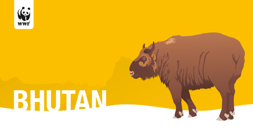Wwf Bhutan