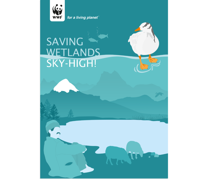 Wwf Folder Cover