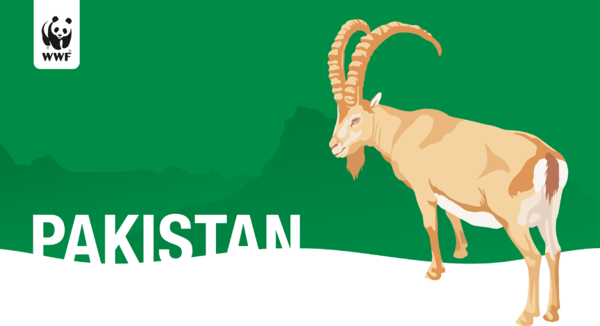 Wwf Pakistan